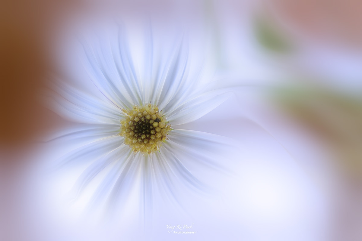 127_4284-87-st-m-s--Autumn garden-16.jpg