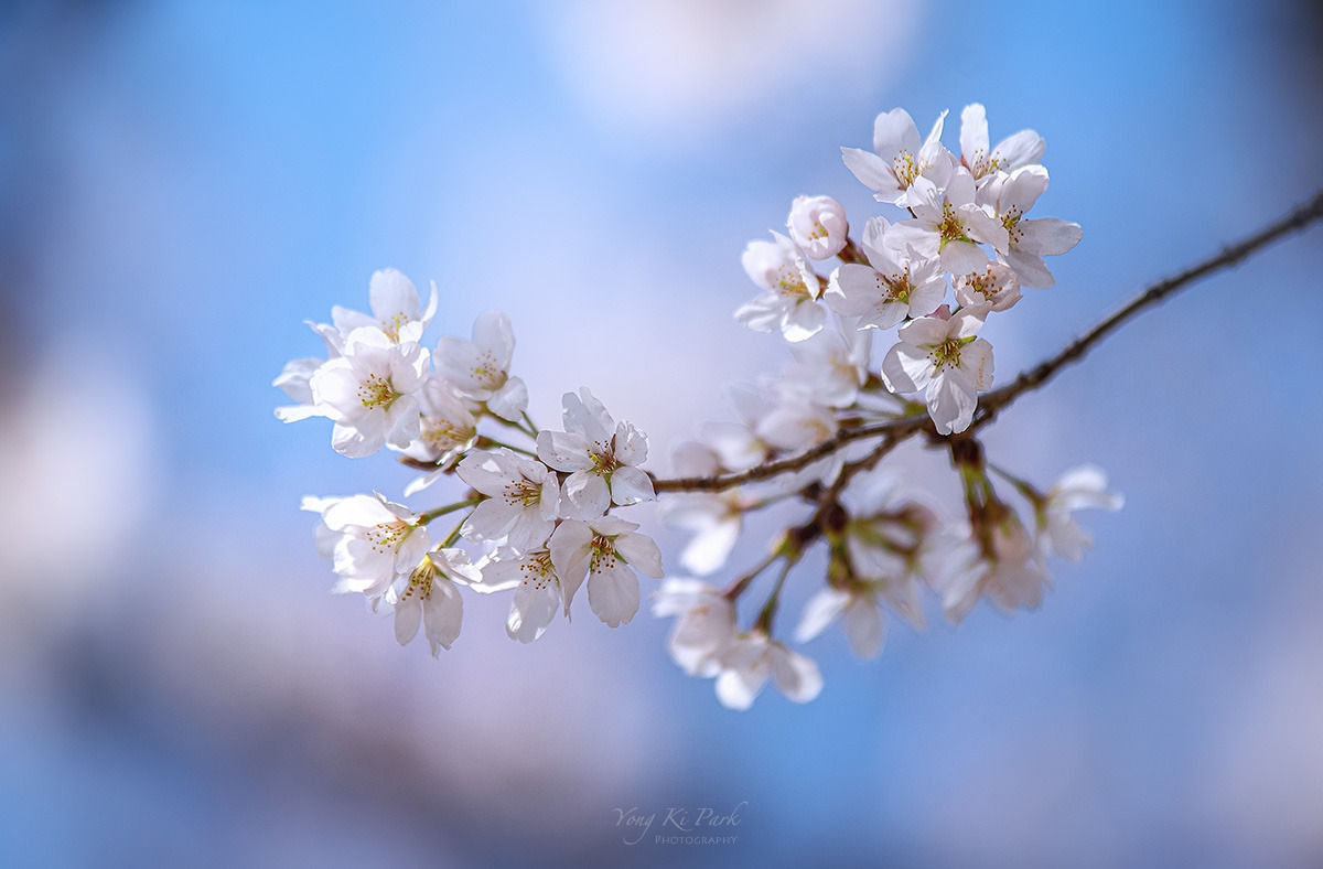 120_9625-s-At spring-17.jpg