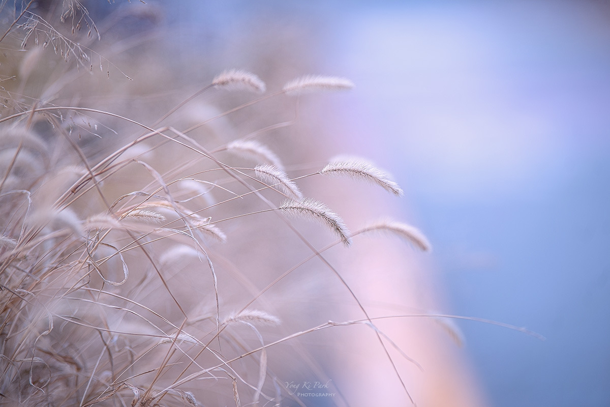 123_6425-26-st-s-Winter life-15.jpg