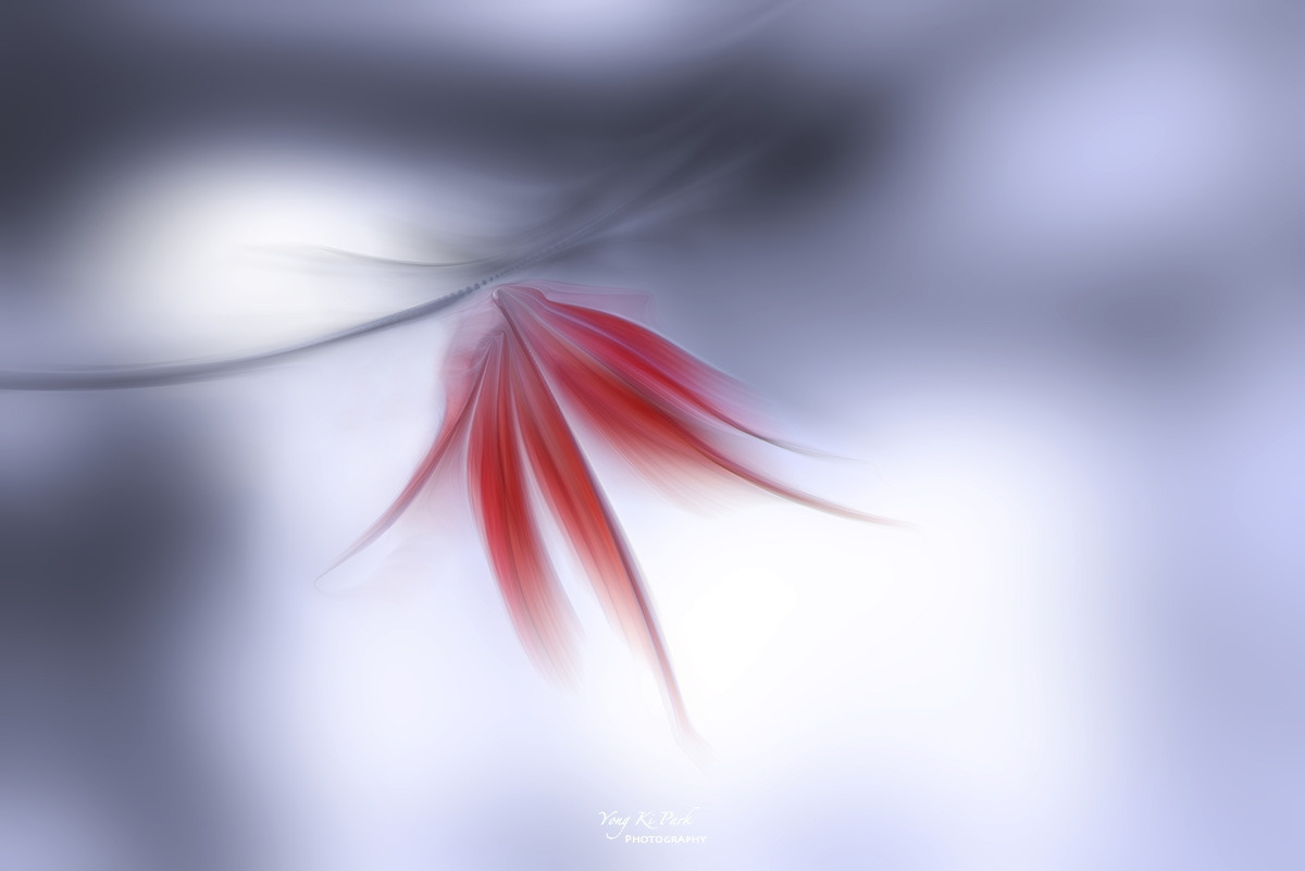 133_3859-62-st-m-s-Winter story-3.jpg