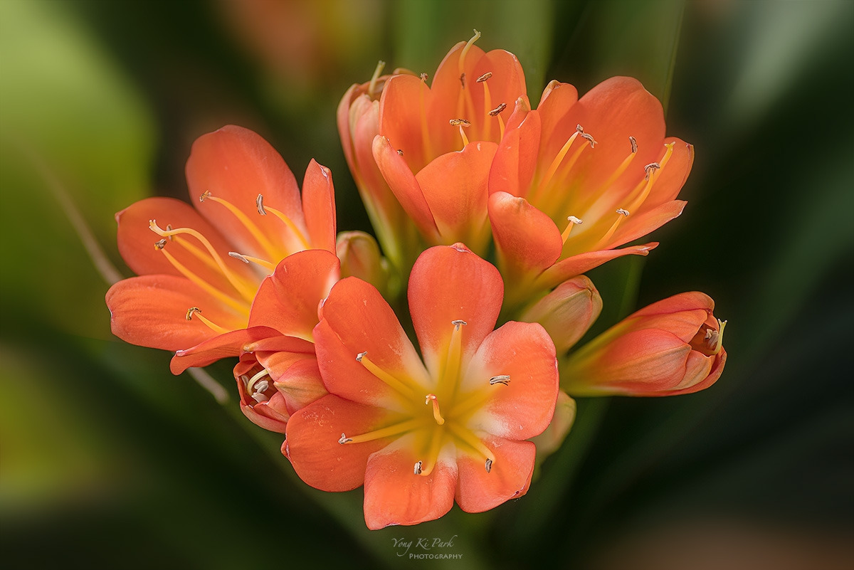 124_2928-2944-st-s-Spring again-7.jpg