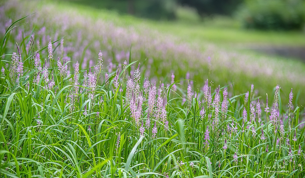 126_8822-28-st-s-End of summer 2023-1-2.jpg