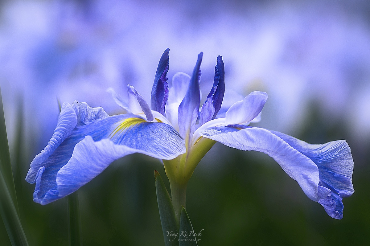 302_8408_09-st-2022-s-Unforgettable moment-1.jpg