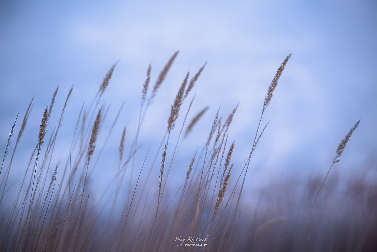 120_6365-m-s-Winter morning-1.jpg