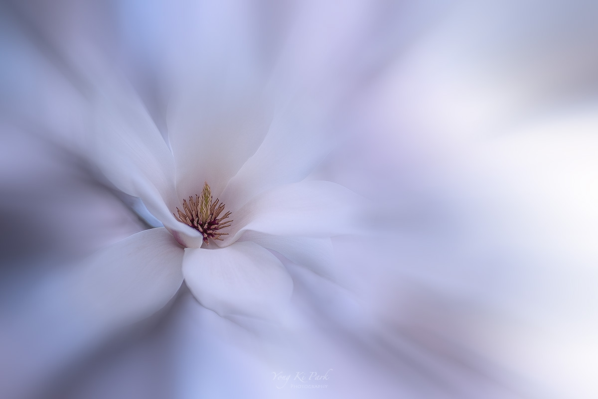 120_9074-m-s-At spring-10.jpg