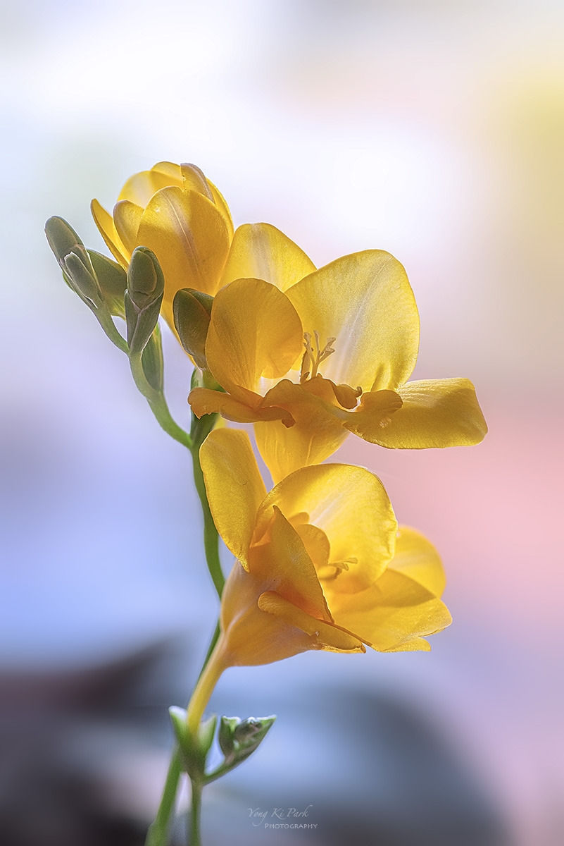 133_7758-63-st-s-Waiting for spring-2025-8.jpg