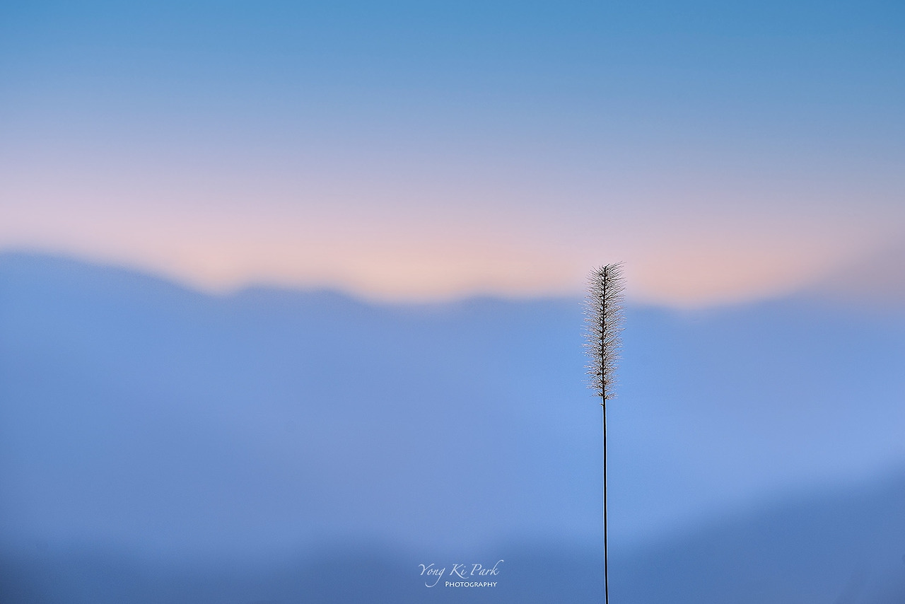 120_6562-s-Winter morning-7.jpg