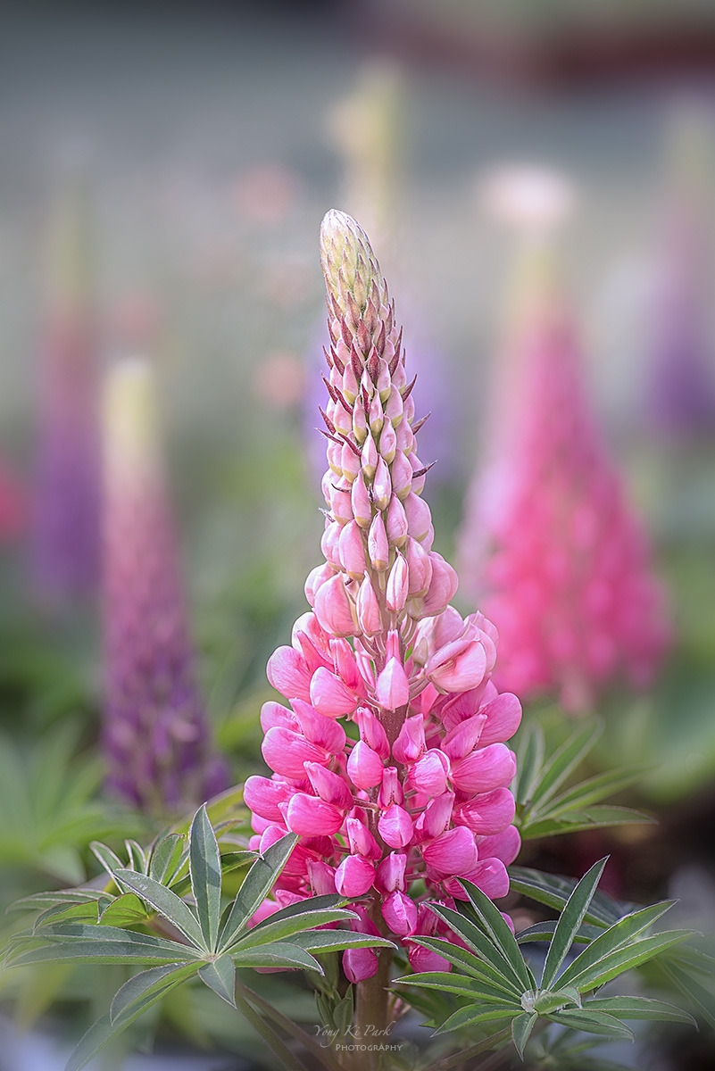 128_9469-73-st-sSpring spring 2024-14.jpg