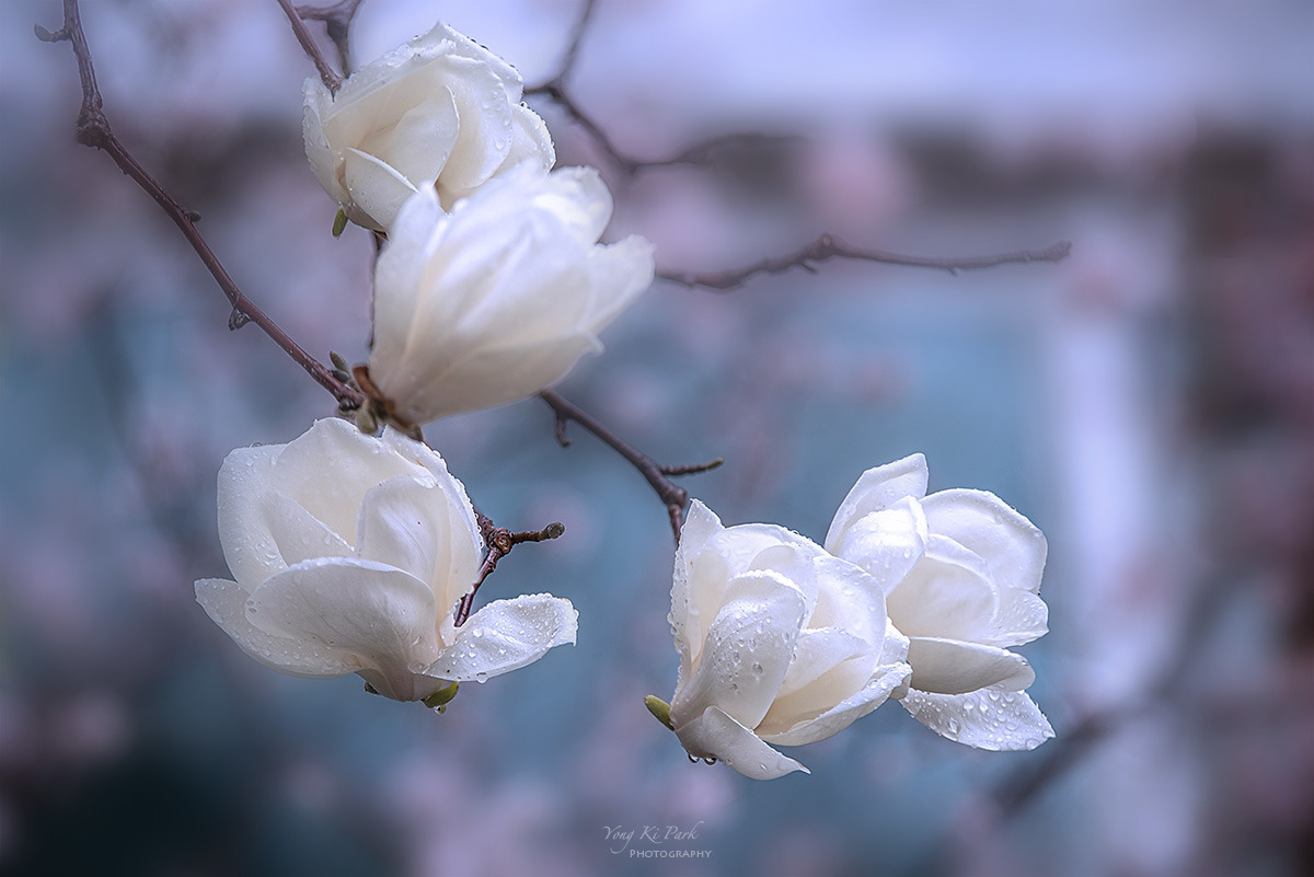 129_1594-96-st-s-Spring spring 2024-6-1.jpg