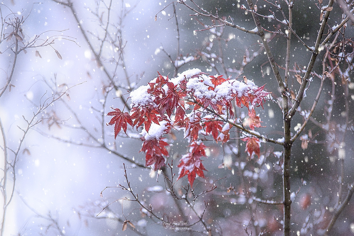 133_5573-75-st-s-Winter story-12.jpg