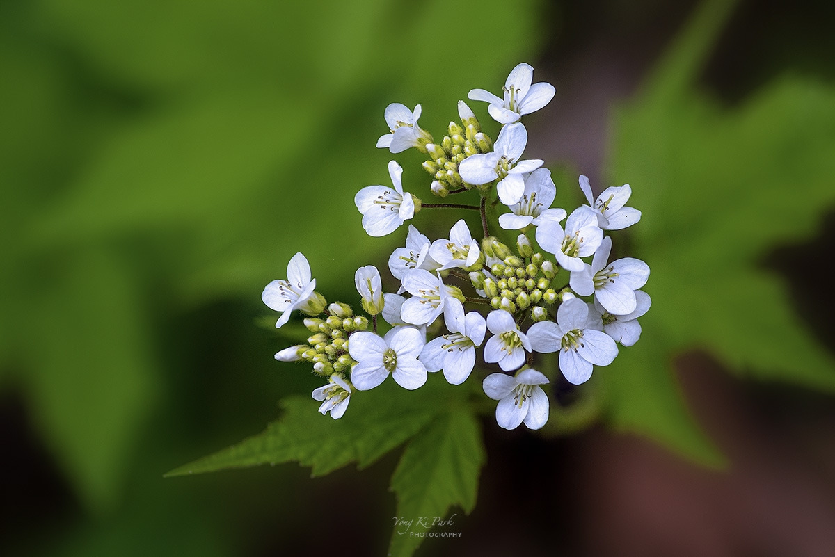 125_2570-74-st-s-The spring there-2023-15.jpg