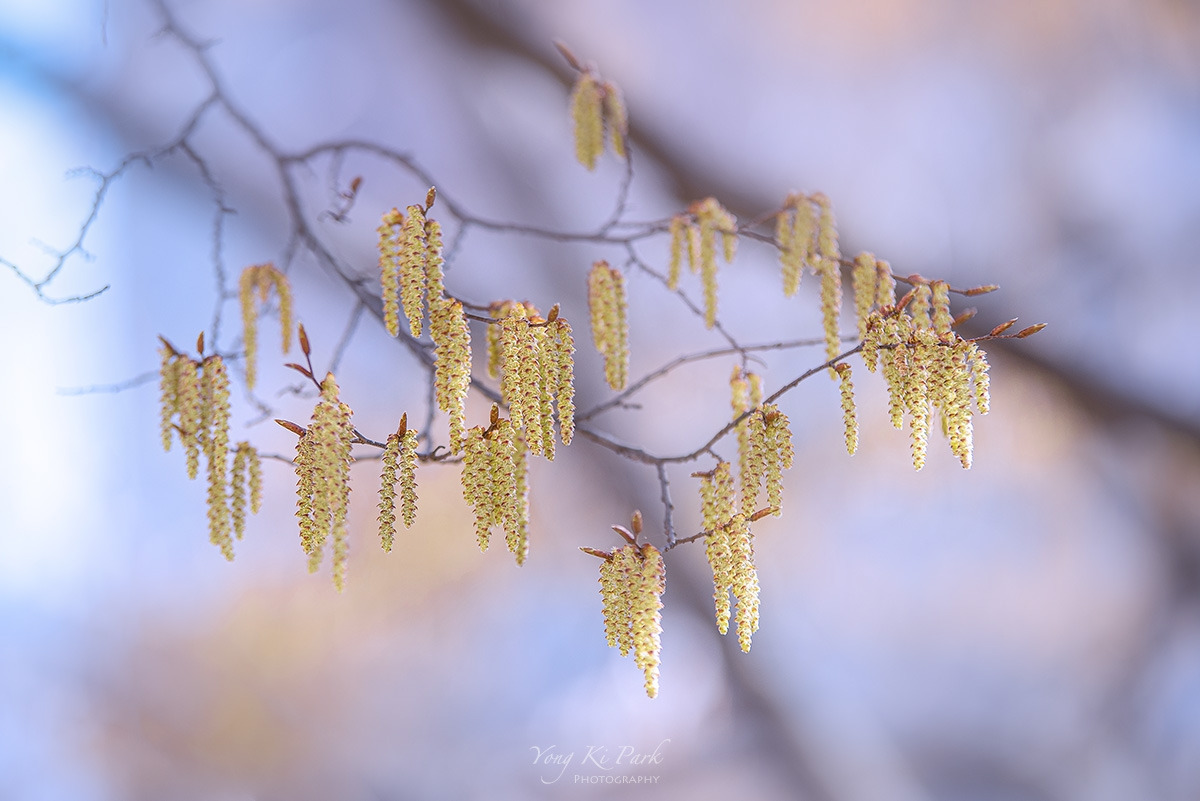 120_9473-s-At spring-17.jpg