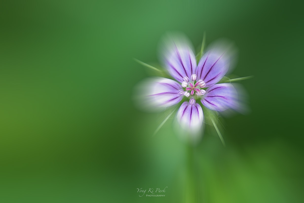 122_1143-c-m-s-Made in nature-22.jpg