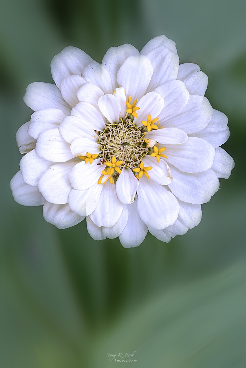 131_4276-80-st-m-s-Summer 2024-9.jpg