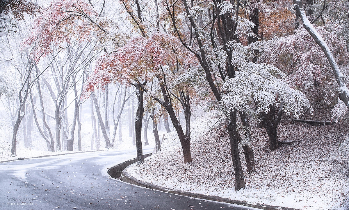 108_8538-s-AF-The first snow-4(2017).jpg