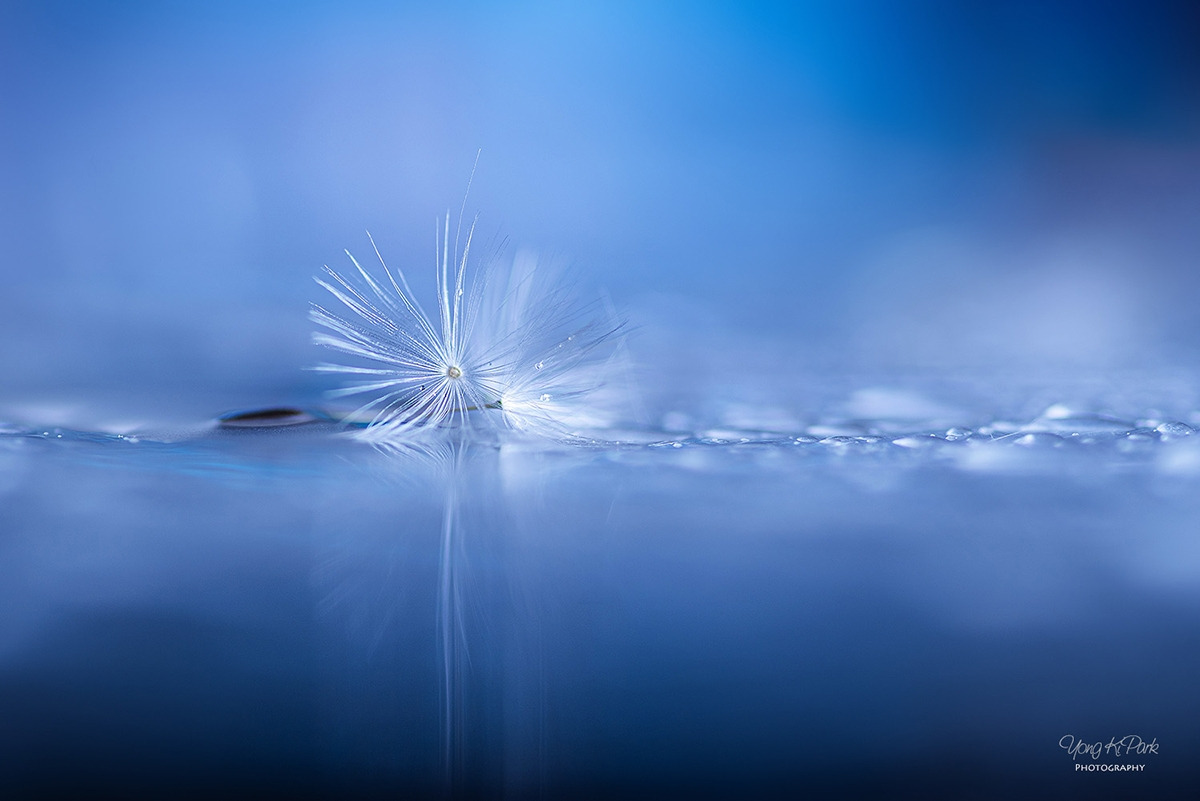 116_4175_74-st-s-AF-Feeling of spring-2.jpg