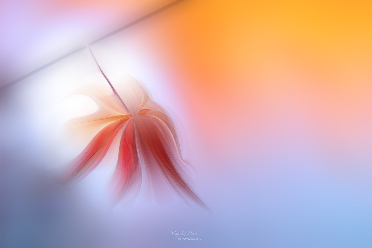 133_1487-88-st-m-2-s-Rhapsody of last autumn-2..jpg