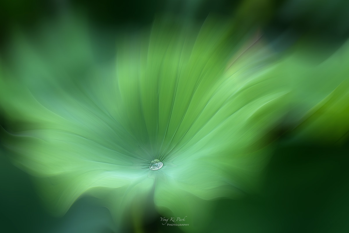 126_5285-86-st-m-s-A rainy day-9-2.jpg