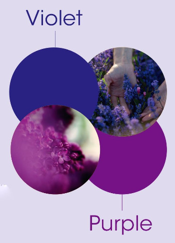 purple-violet.jpg