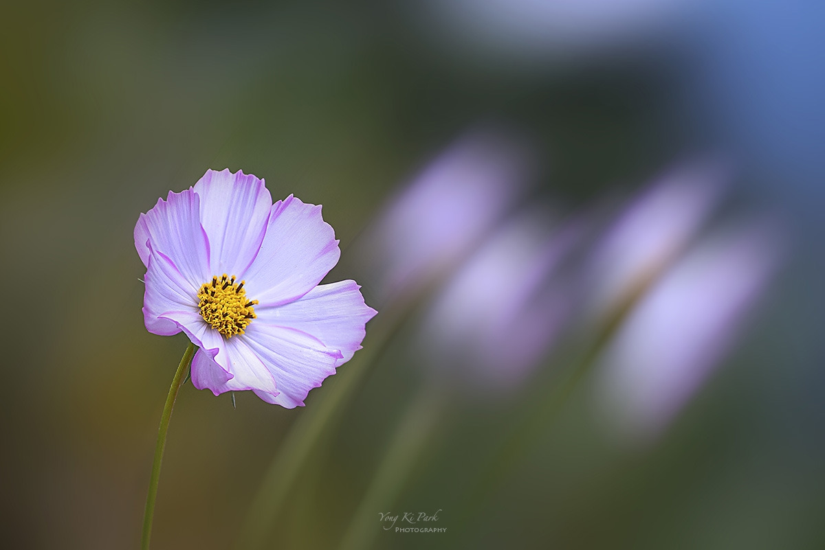 132_4373-76-st-m-c-s-Feelings of autumn-24.jpg