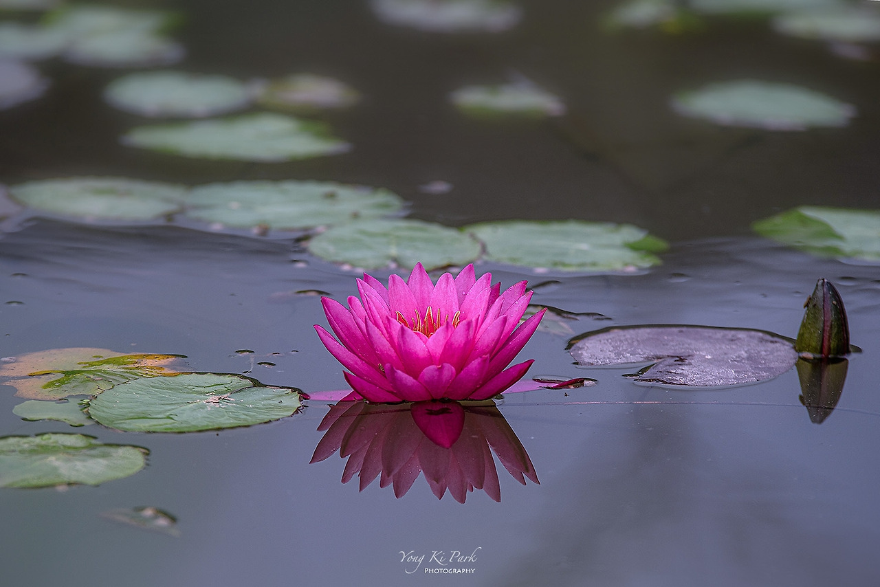 119_4750-s-The summer in Muju-3-4.jpg