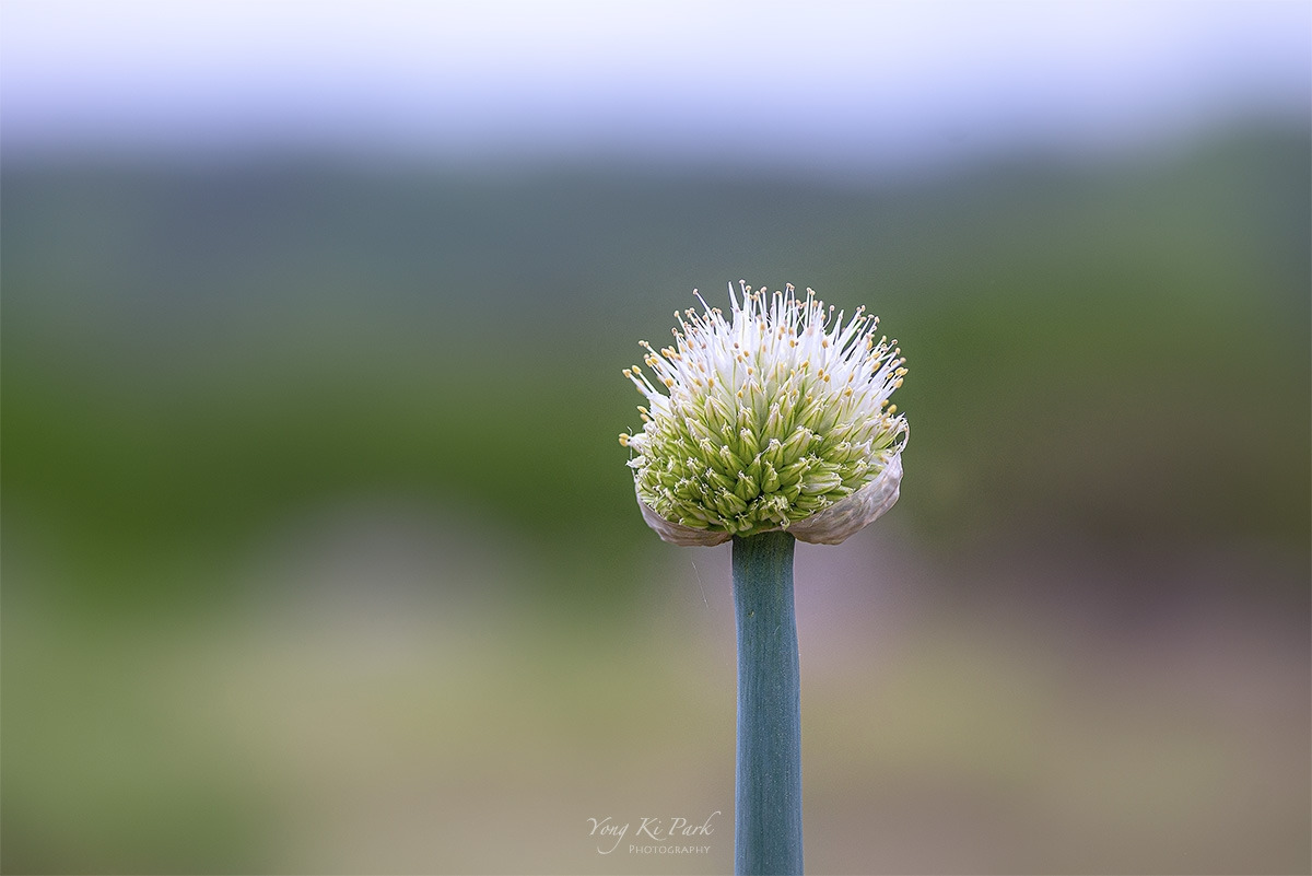 121_2627_26-st-s-Where my eyes stay-6.jpg