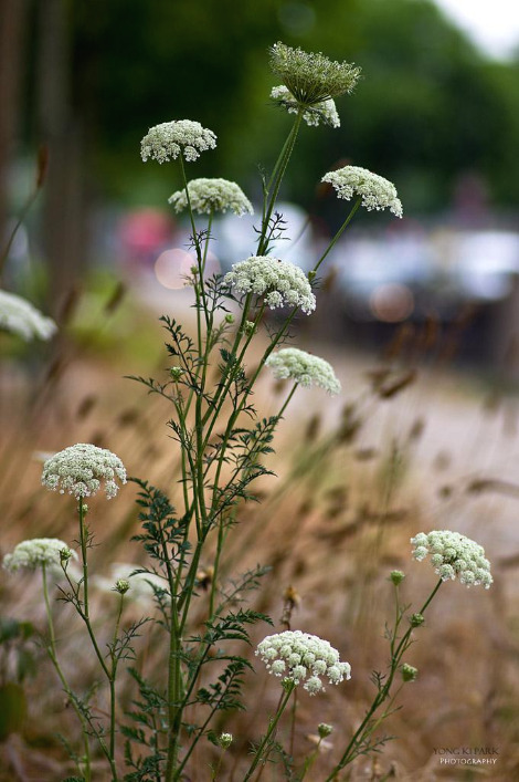 306_5012-s-At the street of Paris-3.jpg