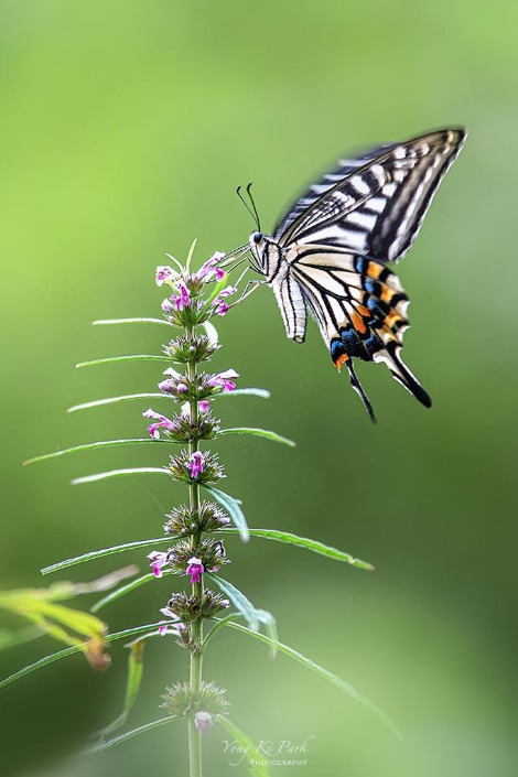 119_5677-s-Poem of September-1.jpg