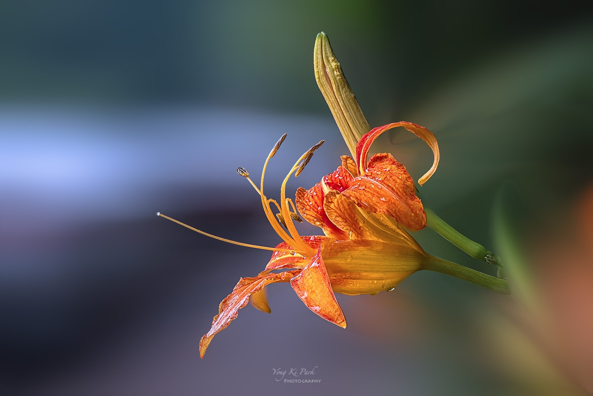 131_4697-4703-st-c-m-s--Summer 2024-18.jpg