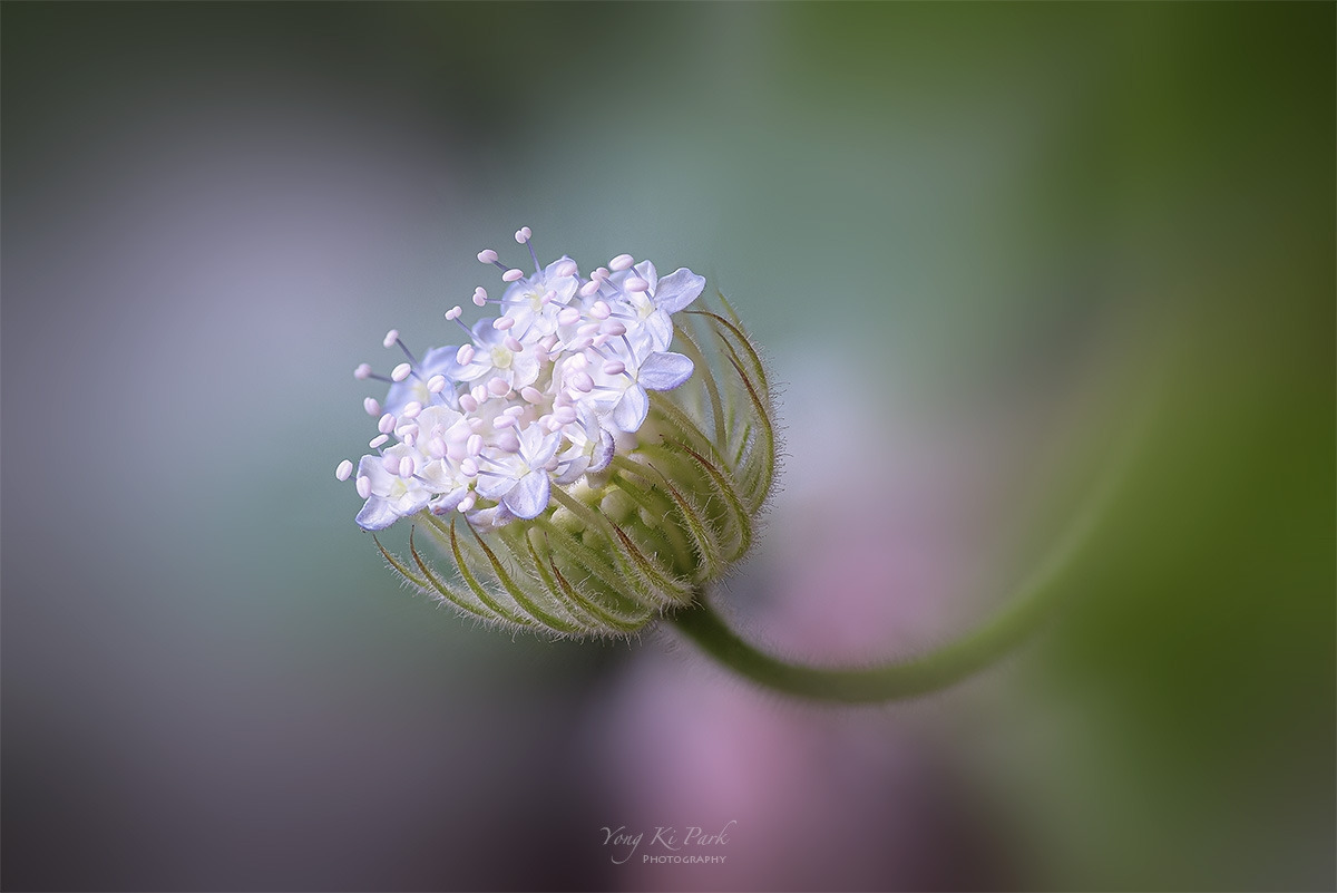 121_7243-53-st-s-s-Made in nature-11.jpg