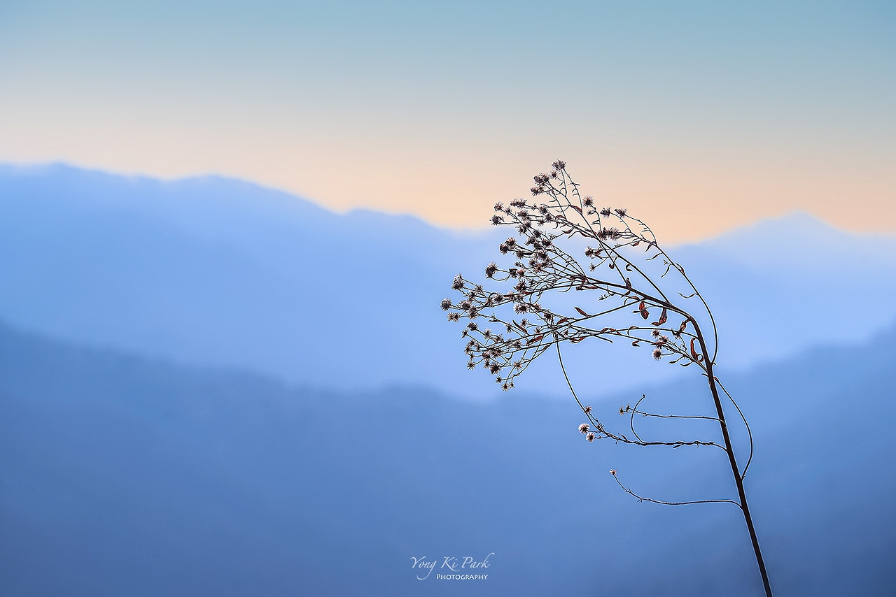 120_6514-s-Winter morning-7.jpg