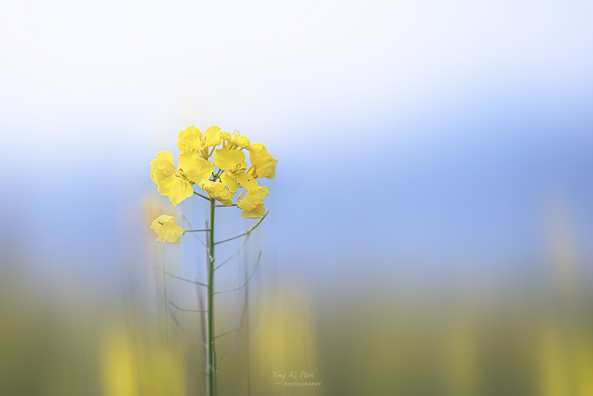 135_6442-F-m-s-A journey on a spring day-1.jpg