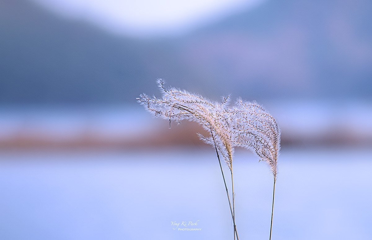 137_9808-F-s-Autumnal lyricism-14.jpg