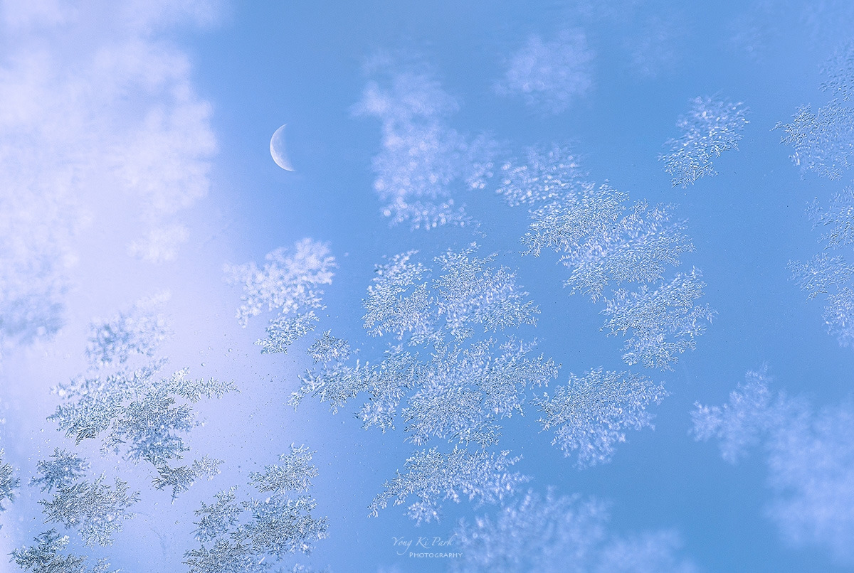 123_8564-67_4549-st-s-Winter moon.jpg