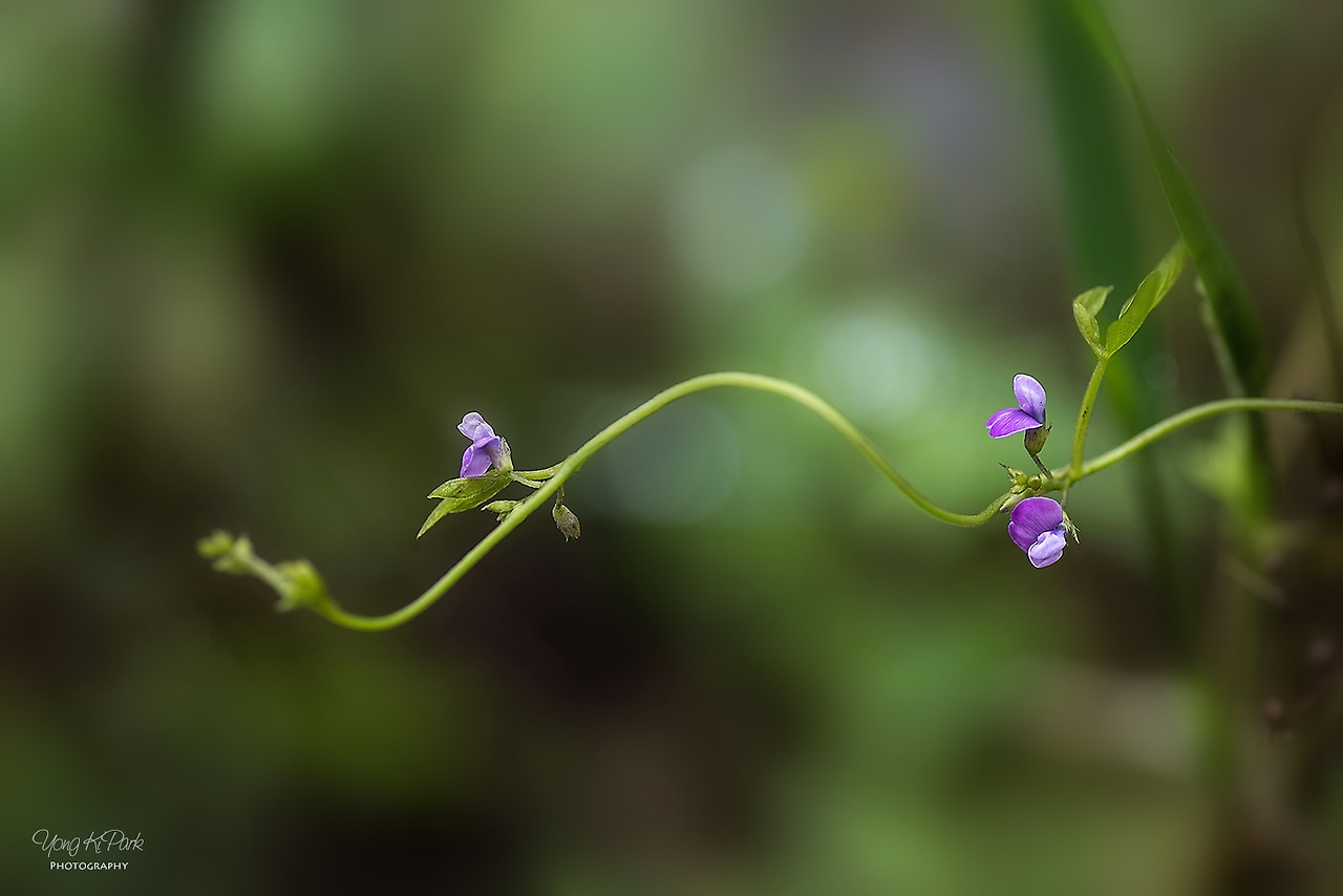 111_6491_92_93-st-s-When September comes-5.jpg