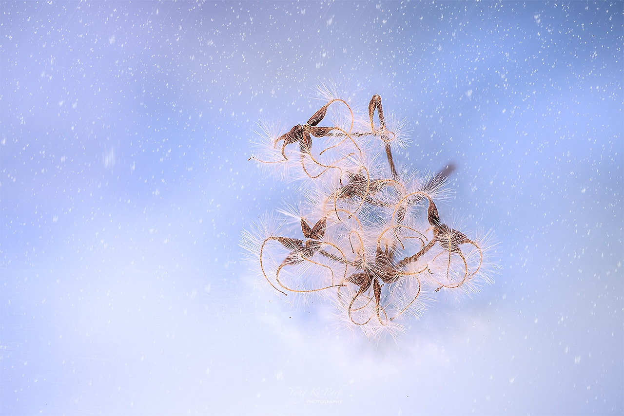 120_6984-93-st-s-Goodbye, winter.jpg