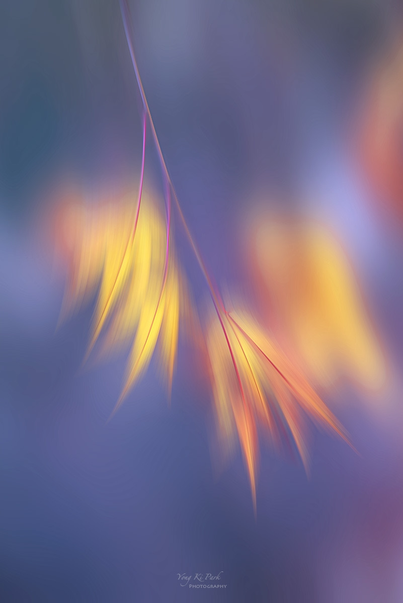 138_0774-76-st-m-s-Poetic moment of autumn-4.jpg