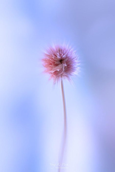 120_5622-m-s-A preview of spring-10-2.jpg