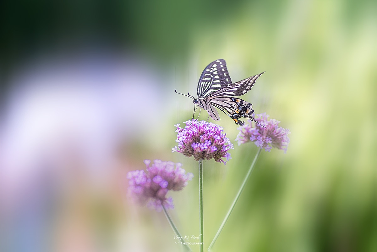 126_9351-F-m-s-End of summer 2023-6.jpg