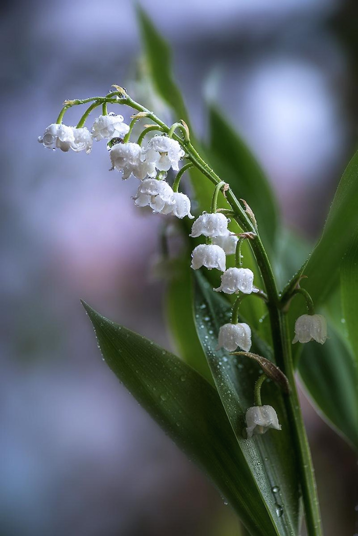 106_2872-85-st-2022-s-AF-Into the spring-4.jpg