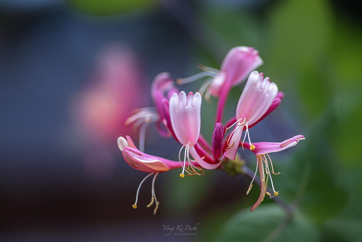 121_3838-s-Where my eyes-18.jpg