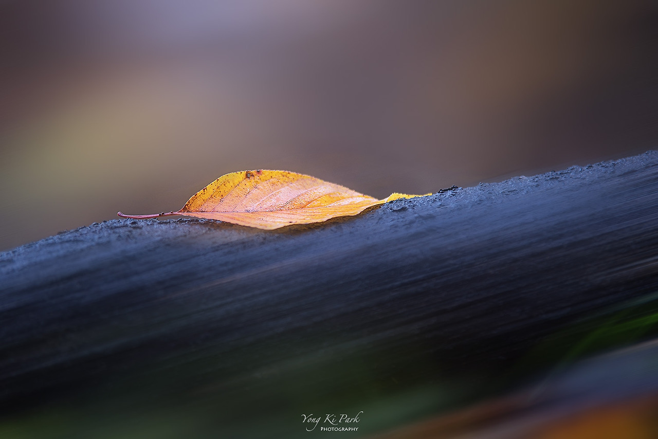 120_0726-m-s-Autumn 2021-3.jpg