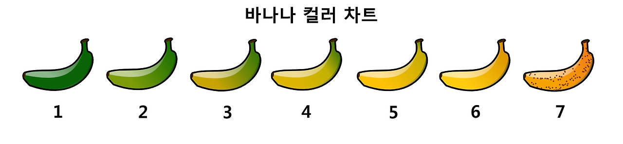 바나나 컬러 차트.jpg
