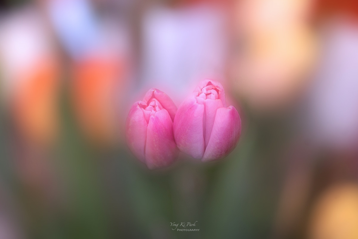 124_5645_52-st-s-Spring again-18.jpg