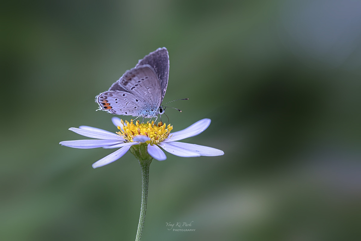 137_2958-F-s-Where the seasons meet-9.jpg