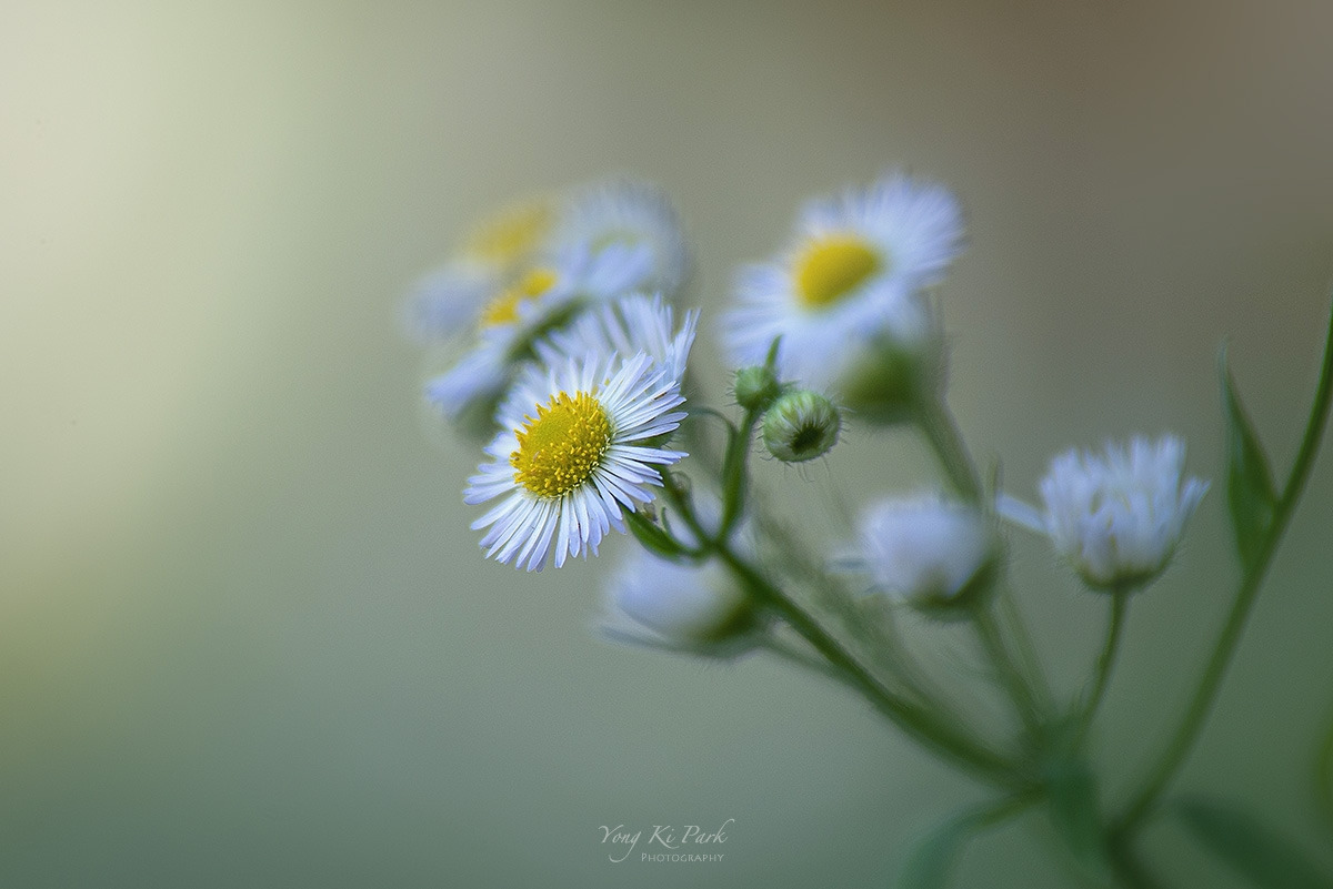 121_4870-c-s-Where my eyes-23.jpg