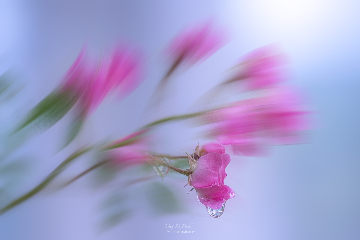 125_9752-55-st-m1-s-A rainy day-17.jpg