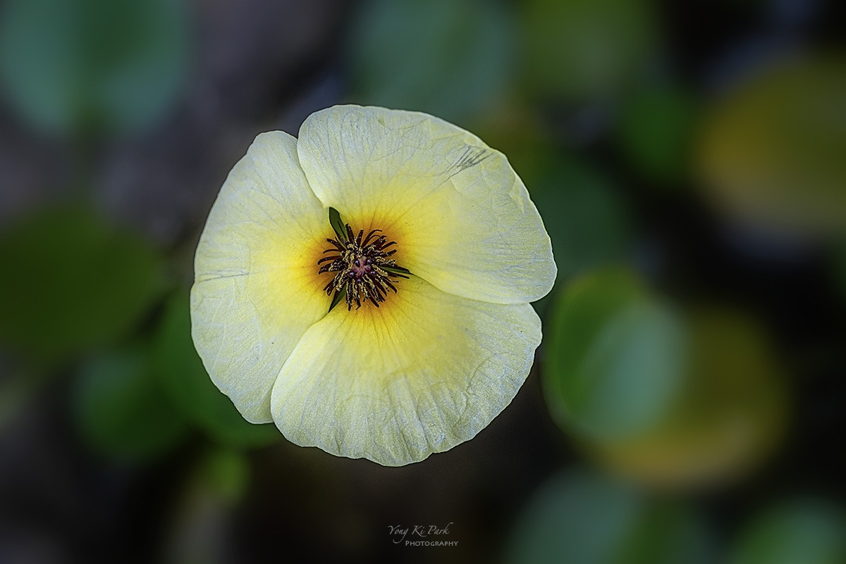 126_4775-76-st-s-2023 summer story-3-1.jpg