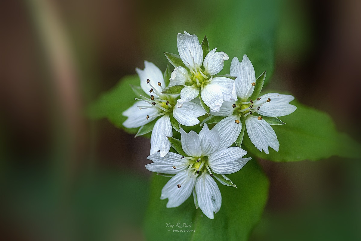 125_2678-82-st-s-The spring there-2023-17.jpg