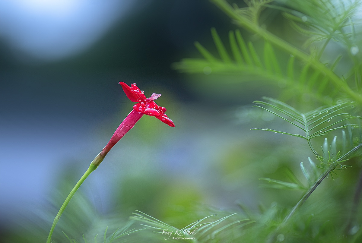 122_3182-87-st-s-Made in nature-27-2.jpg